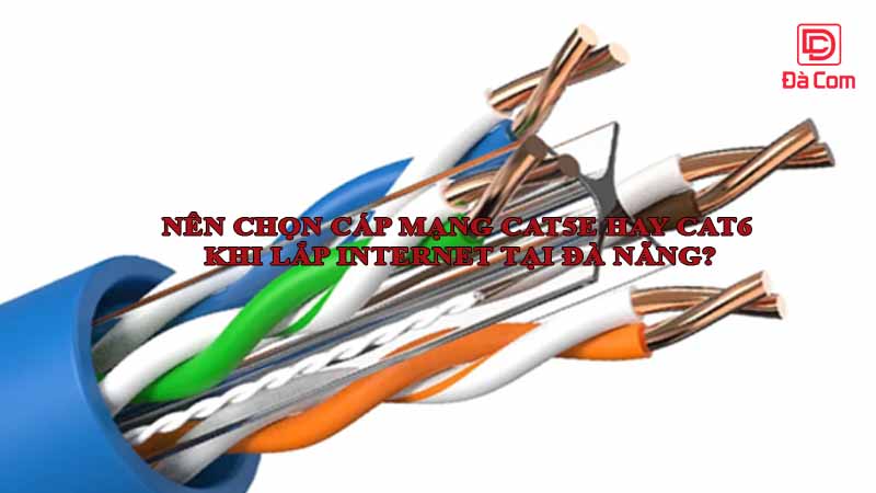 nen-chon-cap-mang-cat5e-hay-cat6-khi-lap-internet-tai-da-nang2