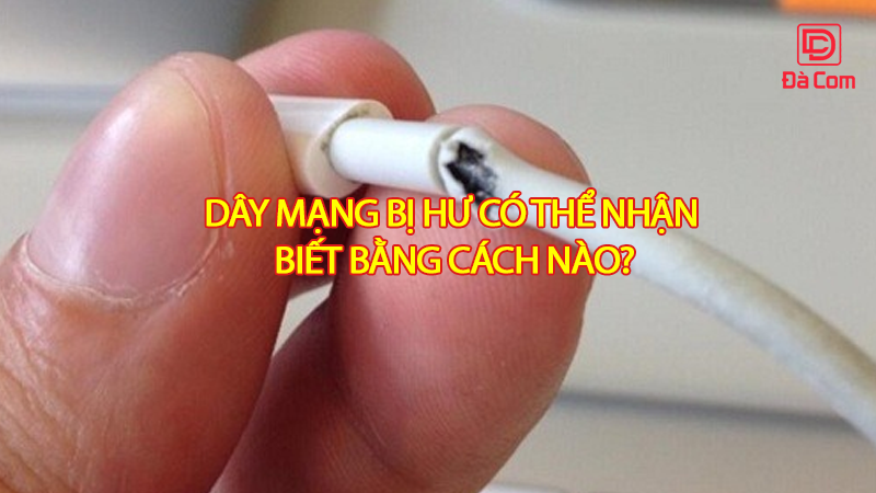 day-mang-bi-hu-co-the-nhan-biet-bang-cach-nao2