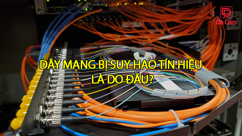 day-mang-bi-suy-hao-tin-hieu-la-do-dau2