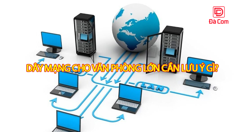day-mang-cho-van-phong-lon-can-luu-y-gi2