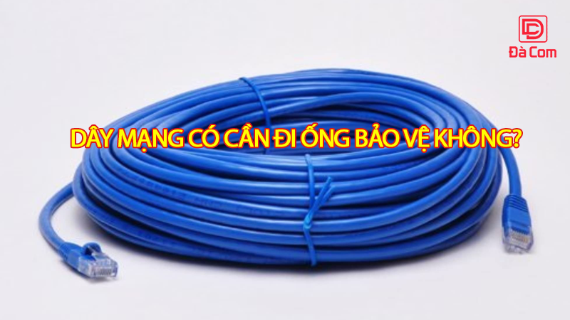 day-mang-co-can-di-ong-bao-ve-khong2