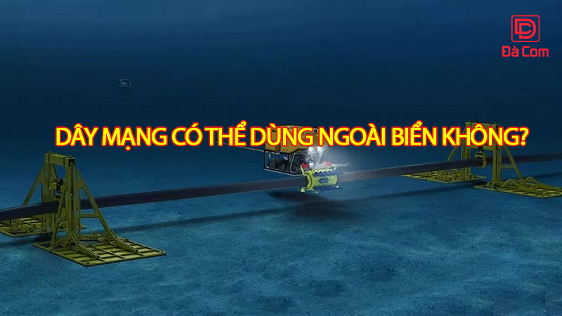 day-mang-co-the-dung-ngoai-bien-khong2