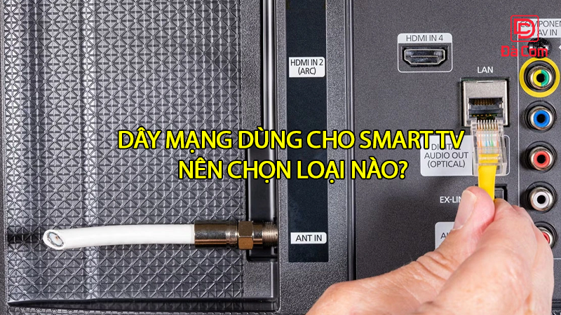 day-mang-dung-cho-smart-tv-nen-chon-loai-nao2