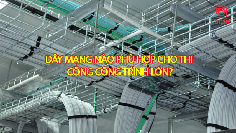 day-mang-nao-phu-hop-cho-thi-cong-tring-lon2