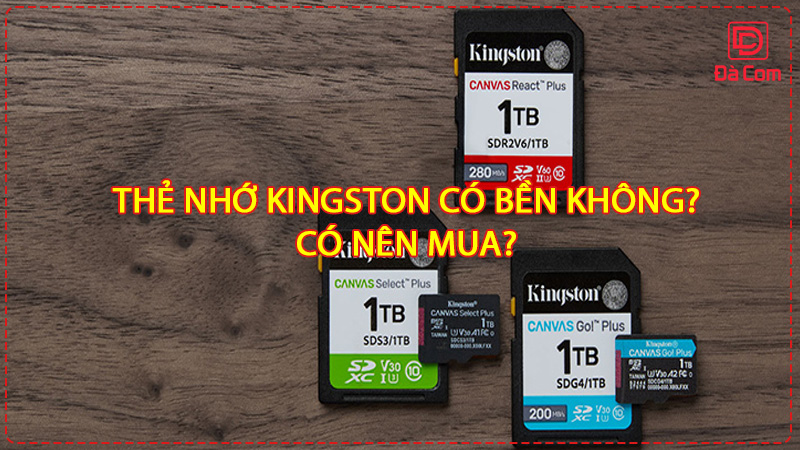 the-nho-kingston-co-ben-khong-co-nen-mua2